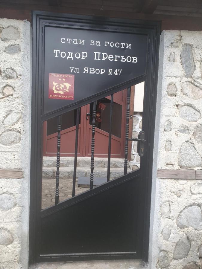 בנסקו Тодор Прегьов מראה חיצוני תמונה